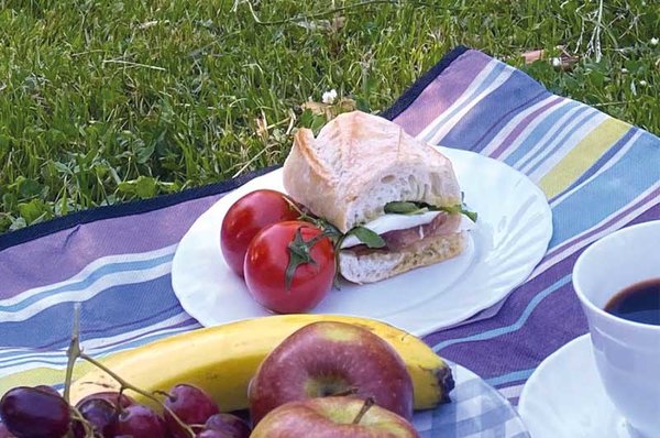 Familienpicknick Familienpicknick